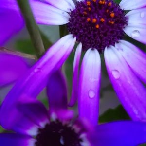 Meet your Posher, Kellie